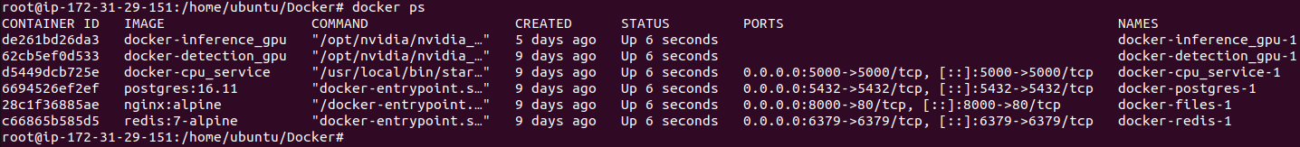 Show Docker Containers running
