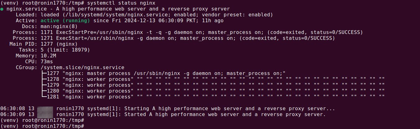 Check if nginx is running